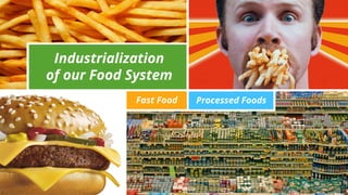 Industrialization
of our Food System
Fast Food Processed Foods
 