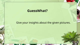 GuessWhat?
Give your insights about the given pictures.
 