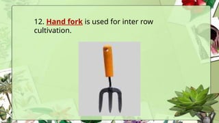 12. Hand fork is used for inter row
cultivation.
 