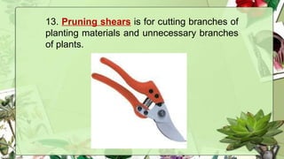13. Pruning shears is for cutting branches of
planting materials and unnecessary branches
of plants.
 