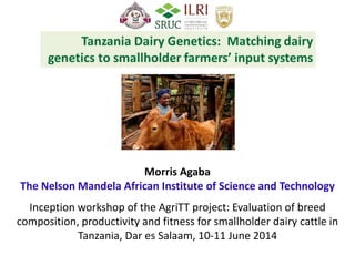 Inception workshop of the AgriTT project: Evaluation of breed
composition, productivity and fitness for smallholder dairy cattle in
Tanzania, Dar es Salaam, 10-11 June 2014
Morris Agaba
The Nelson Mandela African Institute of Science and Technology
 