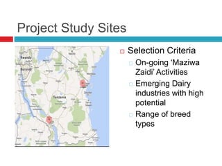 Project Study Sites
 Selection Criteria
On-going ‘Maziwa
Zaidi’ Activities
Emerging Dairy
industries with high
potential
Range of breed
types
 