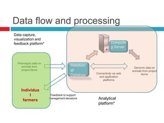 Data flow and processing
Phenotypic data on
animals from
project farms
Genomic data on
animals from project
farmsConnectivity via web
and application
platforms
Feedback to support
management decisions
Individua
l
farmers
Relation
al
Databas
e
Computin
g Server
Data capture,
visualization and
feedback platform*
Analytical
platform*
 