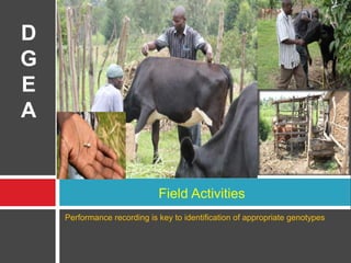 Tanzania dairy genetics project: Identifying appropriate germplasm for smallholder dairy farmers