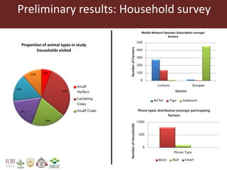 Tanzania Dairy Genetics highlights report 