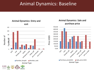 Tanzania Dairy Genetics highlights report 