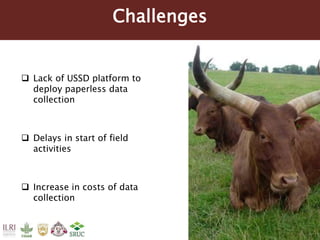 Tanzania Dairy Genetics highlights report 