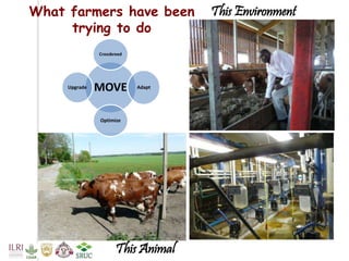 Tanzania Dairy Genetics highlights report 