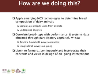 Tanzania Dairy Genetics highlights report 