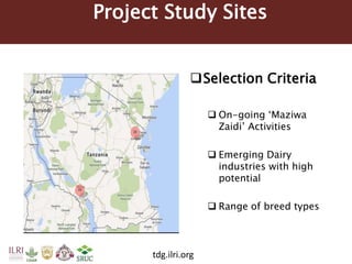 Tanzania Dairy Genetics highlights report 