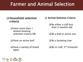 Tanzania Dairy Genetics highlights report 