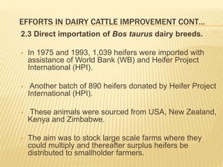 Dairy germplasm development and delivery in Africa: The Tanzania case