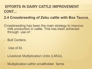 Dairy germplasm development and delivery in Africa: The Tanzania case