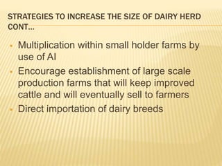 Dairy germplasm development and delivery in Africa: The Tanzania case