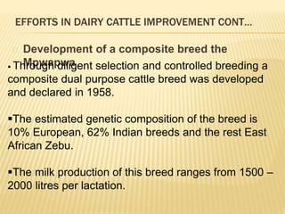Dairy germplasm development and delivery in Africa: The Tanzania case