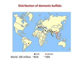 Breed composition evaluation based on genetic makers