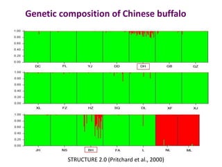Breed composition evaluation based on genetic makers