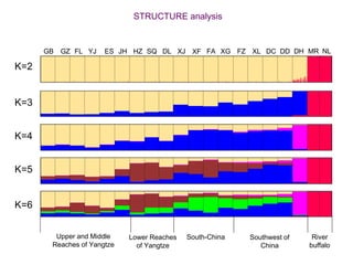 Breed composition evaluation based on genetic makers