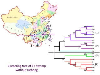 Breed composition evaluation based on genetic makers