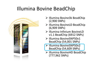 Breed composition evaluation based on genetic makers