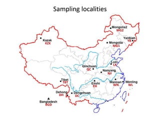 Breed composition evaluation based on genetic makers