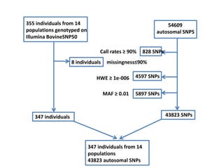Breed composition evaluation based on genetic makers