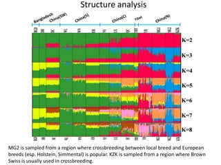Breed composition evaluation based on genetic makers
