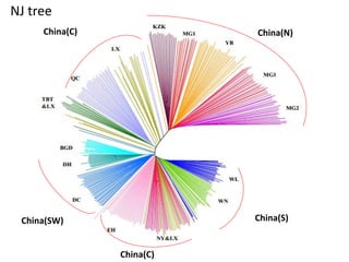 Breed composition evaluation based on genetic makers