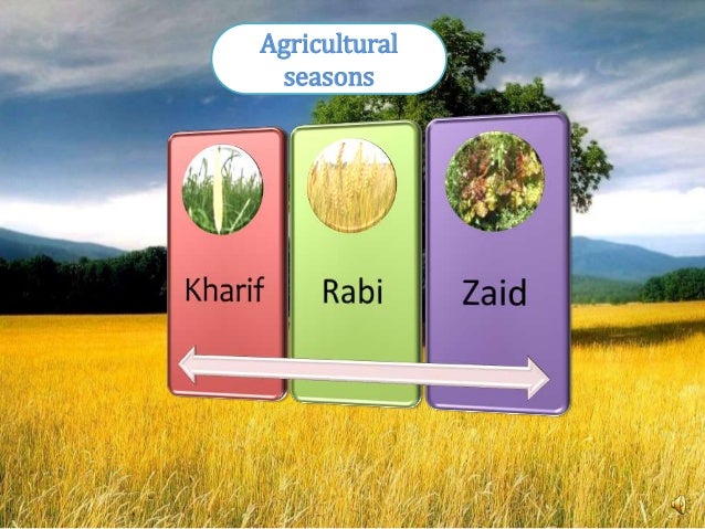 agriulcure