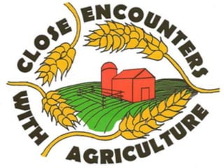 Agriculture universities & Grading Pattern