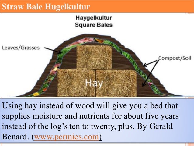 hugelkultur