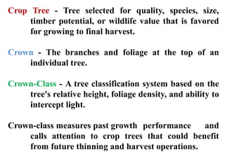 Introduction to Indian forest and terms related to forestry.pptx