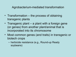 Agrobacterium-mediated transformation

• Transformation – the process of obtaining
  transgenic plants
• Transgenic plant – a plant with a foreign gene
  (or genes) from another plant/animal that is
  incorporated into its chromosome
• Most common genes (and traits) in transgenic or
  biotech crops
  – herbicide resistance (e.g., Round-up Ready
    soybeans)
 