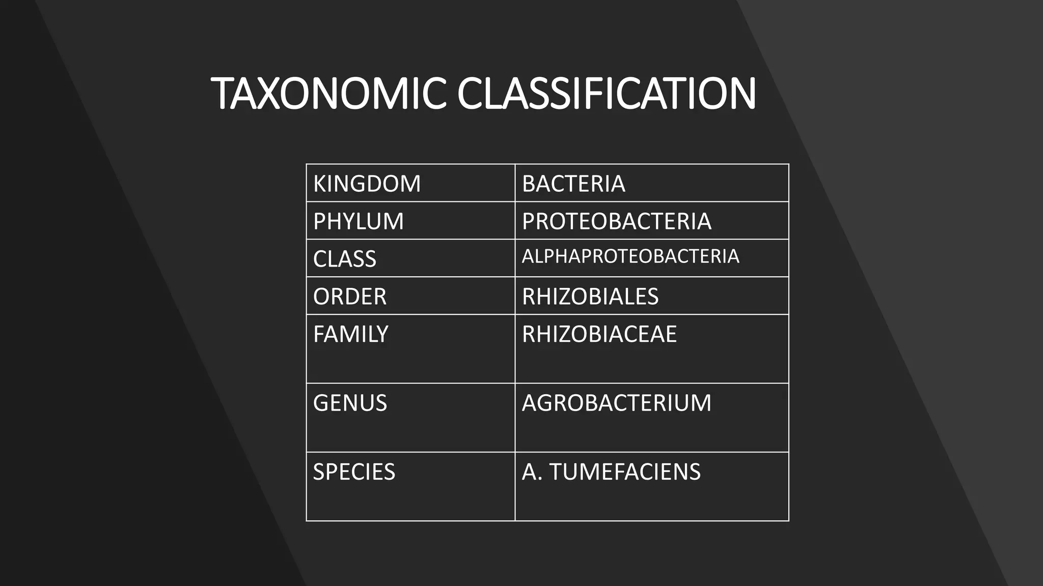 Agrobacterium mediated transformation | PPTX
