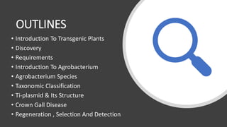 Agrobacterium mediated transformation | PPTX