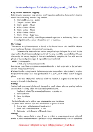 102
Crop rotation and mixed cropping:
In the irrigated areas many crop rotations involving potato are feasible. Being a short duration
crop it fits well in many intensive crop rotations.
1. Maize/paddy/soybean – potato
2. Cowpea – potato – Wheat
3. Maize - potato – Wheat
4. Maize – Potato – Potato
5. Maize – potato – Maize
6. Maize – Potato – Onion
7. Maize – Potato – Sugar cane.
Potato can be successfully raised in pre-seasonal sugarcane as an intercrop. Where two
rows of potato can be planted between two rows of sugarcane.
Harvesting:
There should be optimum moisture in the soil at the time of harvest; care should be taken to
avoid mechanical damages like skinning, brushing, etc.
Crop should be harvested when haulms start yellowing & falling on the ground. At this
stage haulms should be removed at ground level. The crop should be harvested about 15 days
after cutting the haulms. Digging is done with kudali or by ploughing the field with wooden
plough or by use of potato digger & exposed tubers are collected.
Yield:- 25 -30 tonnes/ha.
In M.S. crop matures in three months.
Post harvest care- These operations are essential in order to fetch better price in the market &
uniform emergence of the crop.
Curing- After harvesting to avoid further damage to the potato tubers curing is done by heaping
the potato tubers under shade with good aeration at 15-20o
C.,for 10-15days in Indo-Gangetic
plains.
In the hills when potato harvested under wet weather, it is spread in a thin layer for
drying in the shade before heaping.
Sorting:
Sorting leads to removal of diseased, damaged or rough tubers, whereas, grading leads to
classification of healthy tubers into sizes of accepted standards.
Grading of tubers-The potatoes in plains may be graded as-
1. Seed size tubers
2. Large size tubers
3. Chats.
The last of grades can be sold as ware potatoes & the seed size tubers.
The potato tubers obtained from hills are classified or graded as under.
1. Special size – with diameter of 8cm & above
2. Phool size – with diameter of 3 to 5cm
3. Ration size – with diameter of 2.5cm & below.
Storage:
Potatoes are perishable in nature & have to be kept in proper stores to avoid rotting of
tubers. In plains the Seed tubers are kept in cold storage between February-March to September
Join us on Instagram for latest updates@agrounder_click here
Join us on Telegram for agri pdf@agrounder_click here
 