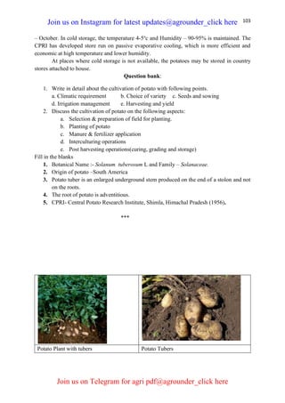 103
– October. In cold storage, the temperature 4-5o
c and Humidity – 90-95% is maintained. The
CPRI has developed store run on passive evaporative cooling, which is more efficient and
economic at high temperature and lower humidity.
At places where cold storage is not available, the potatoes may be stored in country
stores attached to house.
Question bank:
1. Write in detail about the cultivation of potato with following points.
a. Climatic requirement b. Choice of variety c. Seeds and sowing
d. Irrigation management e. Harvesting and yield
2. Discuss the cultivation of potato on the following aspects:
a. Selection & preparation of field for planting.
b. Planting of potato
c. Manure & fertilizer application
d. Interculturing operations
e. Post harvesting operations(curing, grading and storage)
Fill in the blanks
1. Botanical Name :- Solanum tuberosum L and Family – Solanaceae.
2. Origin of potato –South America
3. Potato tuber is an enlarged underground stem produced on the end of a stolon and not
on the roots.
4. The root of potato is adventitious.
5. CPRI- Central Potato Research Institute, Shimla, Himachal Pradesh (1956).
***
Potato Plant with tubers Potato Tubers
Join us on Instagram for latest updates@agrounder_click here
Join us on Telegram for agri pdf@agrounder_click here
 