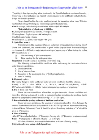 11
Threshing is done by trampling wheat plants under the feet of bullocks or mechanical thresher.
Winnowing is done and grains are cleaned. Grains are dried in hot and bright sunlight about 2-
3 days and stored it properly.
Now a days Combine harvester machine is used for harvesting wheat crop. With this
machine harvesting, threshing and winnowing is carried out at a time.
Yield:- Average yield of timely/normal sown wheat crop is 45-50 Q/ha
*Potential yield of wheat crop is 88 Q/ha.
Ex.Total plant population 22 lakhs/ha. Two spikes/plant.
22 lakhs plants x 2 spikes/plant = 44 lakhs spikes.
Weight of grain /spike - 2gram,
44 lakhs spikes x 2 grams, seed weight = 88 Q/ha.
Irrigated late sown:-
When the crops like sugarcane (Ratoon) and cotton (irrigated) are taken during kharif.
Under such conditions, the farmers desire to grow second crop of wheat after harvesting of
previous one. It is difficult to under take the sowing of second crop of wheat in time i.e. before
15th
November due to :-
(i) Late harvesting of previous crops and
(ii) Time required for the land preparation.
Preparation of land:- Same as like timely sown wheat crop.
The following points should be considered while undertaking the cultivation of wheat
under late sown conditions.
1. Choice of variety
2. Use of more seed rate
3. Reduction in the spacing and dose of fertilizer application.
4. Time of sowing.
1. Choice of variety:
The variety that gives better yield even under late sown conditions should be selected.
Variety: - HD – 2610, NIAW – 34, NI-5439, AKAW-2997-16(Sharad), NIDW-
15(Panchawati). NIAW-1415-Phule Netrawati-require less number of irrigations.
2. Use of more seed rate:
Under late sown conditions, wheat does not get favourable climatic conditions and
hence less tillering is observed. In order to maintain the plant population the seed rate should
be more as compared to normal/timely sowing i.e. 125-150 kg/ha.
3. Reduction in the spacing and dose of fertilizer application:
Under late sown conditions, the spacing of sowing is reduced to 18cm. between the
rows so also the fertilizer dose is also reduced to 80: 40 : 40 kg NPK/ha. At the time of sowing
½ dose of N and full dose of P and K should be given. Remaining half dose of ‘N’ should be
given at 1st
irrigation.
4. Time of sowing:
After 15th
November but before 15th
December. Sowing after 15th
December is not economical.
Yield: - Average yield of late sown wheat is – 35 to 40 Q/ha
All other cultivation practices remain the same as in case of timely sowing.
Cultivation of wheat under rainfed condition:
Join us on Instagram for latest updates@agrounder_click here
Join us on Telegram for agri pdf@agrounder_click here
 