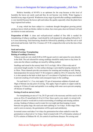 111
Relative humidity of 85-95% is an optimum for the crop because at this level of
humidity the leaves are easily used and they do not become very brittle. Water logging is
harmful at any stage of growth. Windstorm at any stage of growth after seedlings establishment
is very harmful because the leaves split and reduce the quality especially when the plants have
large exposed leaf surface.
A crop, which has been subject to a moderate drought throughout growing period,
produces leaves which are thicker, darker in colour, have more gum, does not ferment well and
are inferior in taste and aroma.
Preparation of field: A clean and well-pulverized seedbed of fine tilth is needed for
transplanting of tobacco seedlings. Land should be well prepared by ploughing followed by 3
to 4 cross harrowing. Each harrowing should be followed by planking so that the soil is well
pulverized and leveled. Add 10 to 12 tonnes of F.Y.M. compost/ha in the soil at the time of last
harrowing.
Seed and sowing:
Method of sowing: Transplanting:
Raising of seedlings (Nursery)
Tobacco seeds are very small (0.08 to 0.09 mg per seed wt.) and cannot be sown directly
in the field. The soil selected for raising seedlings should be sandy loam to clay loam. In
some area the tobacco seedlings are raised by rabbing method.
Seedlings and raised in the nursery beds 10-15 cm high, 100 to 120cm wide and of
convenient length usually 3 to 4m) surface drainage is provided by keeping channels 30
to 50cm. These channels provide convenience for watering and weeding as well. During
land preparation for nursery beds F.Y.M./compost is added @ 20 to 25 tonnes/ha. Part of
it, is also spread on the beds in thick layer of 5 cm (about 4-5 kg/bed) to serve as a mulch,
to prevent cracking of soil surface and consequent injury to the seedlings.
For each bed (3 x 1.2 m2 size) apply 125 gm of ammonium sulphate of potash and
50gm of thimate one day prior of sowing. Also apply 35gm of capton or copper oxide by
mixing in 18 liters of water and sprinkle it on seeding with water can to prevent camping
off disease of seedlings.
Sowing of seed on nursery beds:
For transplanting an area of 1 ha, 20-25 gm seed is the necessary and this seed is to be
sown on 20 to 25 raised beds (0.10 to 0.12 ha). Since seed is very small, it is mixed with
ten parts of sand or wood ash to avoid overcrowding of seedlings and ensuing uniform
sowing. Soaking of tobacco seed in water for over-night and then keeping it moist
between wet gunny bags, the seed coat starts splitting in 3 to 6 days. At this stage if the
seed is sown in nursery, the germination will be quick and satisfactory.
In normal course seed takes 5 to 6 days for germination but when soaked in water the
germination is observed in 3 to 4 days. Seed is treated with 2.5% of formalize solution of
0.25% solution of Dithane M- 45, for control of seed borne diseases. Pre sowing seed
Join us on Instagram for latest updates@agrounder_click here
Join us on Telegram for agri pdf@agrounder_click here
 