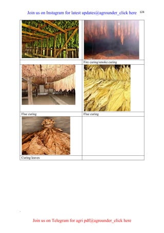 124
Fire curing/smoke curing
Flue curing Flue curing
Curing leaves
.
Join us on Instagram for latest updates@agrounder_click here
Join us on Telegram for agri pdf@agrounder_click here
 