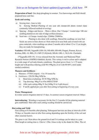 130
Preparation of land: One deep ploughing in summer. Two harrowings and field should
prepared loose and fine.
Seeds and sowing:
a) Sowing time:- June to July
b) Sowing Method:-Planting of one year old clumps/old plants rooted slips(
commonly followed method of sowing)
c) Spacing: - Ridges and furrow – 90cm x 60cm. One ‘Clumps’/ ‘rooted slips’ OR one
seedling planted on one side of ridge at 60cm distance.
d) Seed rate:- i) Clumps /rooted slips- 22000to 25000/ha
Planting is also done with seedlings. Raised the seedlings on raise bed.
Seeds are sown in lines drawn at 10cm interval in raise beds and covered with cut
grass materials, when seedlings are about 2 months old or about 12 to 15 cm height,
they are ready for transplanting.
Varieties: OD-440, Sugandhi (OD-19), OD-408, OD-440, Pragati, Praman, Kaveri,
Krishna, RRL-16, RRL-39, CKP-25 (Hybrid), SD-68, GRL-1, NLG-84, Chorhahit.
(*Sugandhi (OD-19):- It was released from the Aromatic and Medicinal Plant
Research Station (AMPRS) Odakkali, Kerala. This variety is red in colour and is adapted
to a wide range of soil and climatic conditions. The plant grows from 1 o 1.75 meter
height and with profuse tillering yield 80-199kg/ha of oil with 80-88% citral under
rainfed condition).
Manures and fertilizers:
a. Manures:- FYM/Compost – 8 to 10 tonnes/ha
b. Fertilizers:- 220:50:50kg NPK/ha
i) Basal dose at planting: 20:50:50kg NPK/ha
ii) Top dressing: 40kg N at 45to 60DAT/DAP
iii) After each cutting 40kg N /ha (160kg N in 4 split doses)
iv) P and K applied per year after first cutting in beginning of every year.
Water Management:
In winter season irrigation interval 15 days. In summer season irrigation interval 10days
Interculturing: Weeding is necessary for the first 2-3 months till the planting material
gets established. Then after each cutting weeding should be carried out.
Harvesting and Yield:
First cutting at 4-5months after planting. Subsequent harvests are done at intervals of 60-
70 days or 3months interval after first cutting depending upon the fertility of the soil and
other seasonal factors.
The grass is cut 10cm above the ground level and 5-6 cuttings can be taken in a year.
Plant height at cutting time is 1.0m to 1.20m. Grass is dry in the shade for 24hrs. The oil
Join us on Instagram for latest updates@agrounder_click here
Join us on Telegram for agri pdf@agrounder_click here
 