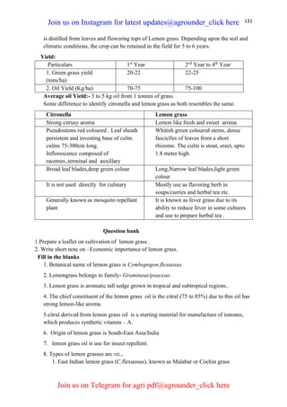 131
is distilled from leaves and flowering tops of Lemon grass. Depending upon the soil and
climatic conditions, the crop can be retained in the field for 5 to 6 years.
Yield:
Particulars 1st
Year 2nd
Year to 4th
Year
1. Green grass yield
(tons/ha)
20-22 22-25
2. Oil Yield (Kg/ha) 70-75 75-100
Average oil Yield:- 3 to 5 kg oil from 1 tonnes of grass.
Some difference to identify citronella and lemon grass as both resembles the same.
Citronella Lemon grass
Strong citrusy aroma Lemon like fresh and sweet aroma
Pseudostems red coloured . Leaf sheath
persistent and investing base of culm.
culms 75-300cm long.
Inflorescence composed of
racemes.,terminal and auxillary
Whitish green coloured stems, dense
fasciclles of leaves from a short
rhizome. The culm is stout, erect, upto
1.8 meter high.
Broad leaf blades,deep green colour Long,Narrow leaf blades,light green
colour
It is not used directly for culinary Mostly use as flavoring herb in
soups/curries and herbal tea etc.
Generally known as mosquito repellant
plant
It is known as fever grass due to its
ability to reduce fever in some cultures
and use to prepare herbal tea .
Question bank
1.Prepare a leaflet on cultivation of lemon grass .
2. Write short note on –Economic importance of lemon grass.
Fill in the blanks
1. Botanical name of lemon grass is Cymbopogon flexuosus.
2. Lemongrass belongs to family- Gramineae/poaceae.
3. Lemon grass is aromatic tall sedge grown in tropical and subtropical regions..
4. The chief constituent of the lemon grass oil is the citral (75 to 85%) due to this oil has
strong lemon-like aroma.
5.citral derived from lemon grass oil is a starting material for manufacture of ionones,
which produces synthetic vitamin – A.
6. Origin of lemon grass is South-East Asia/India
7. lemon grass oil is use for insect repellent.
8. Types of lemon grasses are viz.,
1. East Indian lemon grass (C.flexuosus), known as Malabar or Cochin grass
Join us on Instagram for latest updates@agrounder_click here
Join us on Telegram for agri pdf@agrounder_click here
 