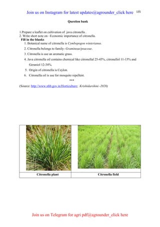 135
Question bank
1.Prepare a leaflet on cultivation of java citronella .
2. Write short note on –Economic importance of citronella.
Fill in the blanks
1. Botanical name of citronella is Cymbopogon winterianus.
2. Citronella belongs to family- Gramineae/poaceae.
3. Citronella is use an aromatic grass.
4. Java citronella oil contains chemical like citronellal 25-45%, citronellol 11-15% and
Geraniol 12-34%.
5. Origin of citronella is Ceylon.
6. Citronella oil is use for mosquito repellent.
***
(Source: http://www.nhb.gov.in/Horticulture; Krishidarshini -2020)
Citronella plant Citronella field
Join us on Instagram for latest updates@agrounder_click here
Join us on Telegram for agri pdf@agrounder_click here
 