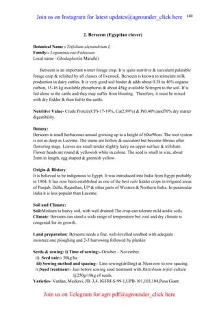 140
2. Berseem (Egyptian clover)
Botanical Name : Trifolium alexandrium L
Family:- Leguminaceae/Fabaceae.
Local name –Ghodaghas(in Marathi)
Berseem is an important winter forage crop. It is quite nutritive & succulent palatable
forage crop & relished by all classes of livestock. Berseem is known to stimulate milk
production in dairy cattles. It is very good soil binder & adds about 0.38 to 46% organic
carbon, 15-16 kg available phosphorus & about 45kg available Nitrogen to the soil. If is
fed alone to the cattle and they may suffer from bloating. Therefore, it must be mixed
with dry fodder & then fed to the cattle.
Nutritive Value- Crude Protein(CP)-17-19%, Ca(2.89%) & P(0.40%)and70% dry matter
digestibility.
Botany:
Berseem is small herbaceous annual growing up to a height of 60to90cm. The root system
is not as deep as Lucerne. The stems are hollow & succulent but become fibrous after
flowering stage. Leaves are small tender slightly hairy on upper surface & trifoliate.
Flower heads are round & yellowish white in colour. The seed is small in size, about
2mm in length, egg shaped & greenish yellow.
Origin & History:
It is believed to be indigenous to Egypt. It was introduced into India from Egypt probably
in 1904. It has now been established as one of the best rabi fodder crops in irrigated areas
of Punjab, Delhi, Rajasthan, UP & other parts of Western & Northern India. In peninsular
India it is less popular than Lucerne.
Soil and Climate:
Soil:Medium to heavy soil, with well drained.The crop can tolerate mild acidic soils.
Climate: Berssem can stand a wide range of temperature but cool and dry climate is
congenial for its growth.
Land preparation: Berseem needs a fine, well-levelled seedbed with adequate
moisture.one ploughing and 2-3 harrowing followed by plankin
Seeds & sowing: i) Time of sowing:- October – November.
ii) Seed rate:- 30kg/ha
iii) Sowing method and spacing:- Line sowing(drilling) at 30cm row to row spacing.
iv)Seed treatment:- Just before sowing seed treatment with Rhizobium trifoli culture
@250g/10kg of seeds.
Varieties- Vardan, Meskavi, JB–3,4, IGFRI-S-99-1,UPB-101,103,104,Pusa Giant.
Join us on Instagram for latest updates@agrounder_click here
Join us on Telegram for agri pdf@agrounder_click here
 