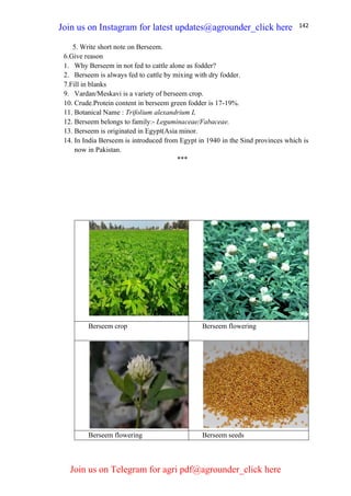 142
5. Write short note on Berseem.
6.Give reason
1. Why Berseem in not fed to cattle alone as fodder?
2. Berseem is always fed to cattle by mixing with dry fodder.
7.Fill in blanks
9. Vardan/Meskavi is a variety of berseem crop.
10. Crude.Protein content in berseem green fodder is 17-19%.
11. Botanical Name : Trifolium alexandrium L
12. Berseem belongs to family:- Leguminaceae/Fabaceae.
13. Berseem is originated in Egypt(Asia minor.
14. In India Berseem is introduced from Egypt in 1940 in the Sind provinces which is
now in Pakistan.
***
Berseem crop Berseem flowering
Berseem flowering Berseem seeds
Join us on Instagram for latest updates@agrounder_click here
Join us on Telegram for agri pdf@agrounder_click here
 