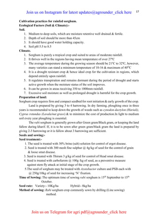 17
Cultivation practices for rainfed sorghum.
Ecological Factors (Soil & Climate):-
Soil.
1. Medium to deep soils, which are moisture retentive well drained & fertile.
2. Depth of soil should be more than 45cm
3. It should have good water holding capacity.
4. Soil pH 5.5 to 8.5
Climate.
1. Sorghum is purely a tropical crop and suited to areas of moderate rainfall.
2. It thrives well in the regions having mean temperature of over 27ºC
3. The average temperature during the growing season should be 21ºC to 32ºC, however,
many varieties can stand a minimum temperature of 10-16 & maximum of 40O
C
4. It is a drought resistant crop & hence ideal crop for the cultivation in regions, which
depend entirely upon rainfall.
5. It regulates transpiration and remains dormant during the period of drought and starts
active growth when the moisture status of the soil improves.
6. It can be grown in areas receiving 350 to 1000mm rainfall.
7. Excessive soil moisture as well as prolonged drought is harmful for the crop growth.
Preparation of land:
Sorghum crop requires firm and compact seedbed for root initiation & early growth of the crop.
Land is prepared by giving 3 to 4 harrowing. In dry farming, ploughing once in three
years is recommended to keep down the growth of weeds such as cynodon dactylon (Hariali),
Cyprus rotundas (Lavala/nut grass) & to minimize the cost of production.In light to medium
soil every year ploughing is essential.
The rabi sorghum is generally grown after Green gram/Black gram, or keeping the land
fallow during kharif. If, it is to be sown after green gram/black gram the land is prepared by
giving 2-3 harrowing or it is fallow about 3 harrowing are sufficient.
Seeds and sowing:-
Seed treatment:-
1. The seed is treated with 30% brine (salt) solution for control of ergot disease.
2. Seed is treated with 300 mesh fine sulphur @ 4g/kg of seed for the control of grain
& loose smut disease.
3. Seed is treated with Thiram 3 g/kg of seed for control of Head smut disease.
4. Seed is treated with carbofurom @ 100g /kg of seed, as a preventive measure
against stem fly attack at initial stage of the crop growth.
5.The seed of sorghum may be treated with Azotobactor culture and PSB each with
@ 250g/10kg of seed for increasing ‘N’ fixation.
Time of Sowing: The optimum time of sowing rabi sorghum is 15th
September to 15th
October.
Seed rate: Variety:- 10Kg/ha Hybrid:- 8kg/ha
Method of sowing: Rabi sorghum crop commonly sown by drilling (Line sowing)
method.
Join us on Instagram for latest updates@agrounder_click here
Join us on Telegram for agri pdf@agrounder_click here
 