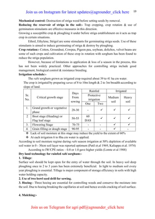 19
Mechanical control: Destruction of striga weed before setting seeds by removal.
Reducing the reservoir of striga in the soil:- Trap cropping, crop rotation & use of
germination stimulants are effective measures in this direction.
Growing a susceptible crop & ploughing it under before striga establishment on it acts as trap
crop in certain situations.
Ethrel, Ethylene, Strigol are some stimulants for germinating striga seeds. Use of these
stimulants is aimed to induce germinating of striga & destroy by ploughing.
Crop rotation:- Cotton, Groundnut, Cowpea, Pigeon pea, soybean, dolichos, velvet beans are
some of such crops and cultivation of these crop in rotation with sorghum has been found to
reduce the striga population.
However, because of limitations in application & loss of a season in the process, this
has not been widely practiced. Other approaches for controlling striga include good
management, biological control & resistance breeding.
Irrigation schedule:-
The rabi sorghum grown as irrigated crop required about 39 to 41 ha cm water.
The crop is irrigated by preparing saras of 8 to 10m length & 2 to 3m breadth according to
slope of land.
Sr.
No.
Critical growth stage
Days
From
sowing
Rainfed Irrigated
Protective
irrigation
Medium
soil
Heavy
soil
One Two
1. Grand growth or vegetative
phase
28-30 - ✓ ✓ ✓
2 Boot stage (Heading) or
Flag leaf stage
50-55
60
DAS
✓ ✓ ✓
3. Flowering Stage 70-75 - - ✓ ✓
4. Grain filling or dough stage 90-95 - - ✓ -
❖ Lack of soil moisture at this stage may reduce the yield to the extent of 60%
❖ At each irrigation 6 to 8ha cm water is applied.
According to soil moisture regime during rabi season irrigation at 50% depletion of available
soil water in 0 - 30cm soil layer was reported optimum (Patil et.al 1969, Kaliappa et.al. 1974)
According to IW/CPE ratios – 0.8 or 1.0 gave higher yields (Lomte et al 1988)
Dry land technology for rainfed rabi sorghum:-
1. Tillage:
Surface soil should be kept open for the entry of water through the soil. In heavy soil deep
ploughing once in 2 to 3 years has been extremely beneficial. In light to medium soil every
year ploughing is essential. Tillage is major component of storage efficiency in soils with high
water holding capacity.
2. Use of two bowl seed drill for sowing.
3. Hoeing:- Three hoeing are essential for controlling weeds and conserve the moisture into
the soil. Due to hoeing breaking the capillaries at soil and hence avoids cracking of soil surface.
4. Mulching:-
Join us on Instagram for latest updates@agrounder_click here
Join us on Telegram for agri pdf@agrounder_click here
 