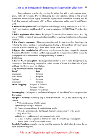 20
Evaporation can be reduce by covering the soil surface with organic residues, straw,
grass, stalks of red gram. Due to obstructing the solar radiation falling in the ground,
evaporation losses reduced. Apply 5 tonnes/ha organic mulch in between two crop lines 15
DAS. Due to use of mulch saving of 25 to 30mm soil moisture and increase 30 to 40% crop
yield.
5. Protective Irrigation:- i) If one irrigation available apply at flag leaf stage i.e. at 60 DAS.
(ii) If two irrigation available apply 1st
at grand growth stage (28-30DAS) & 2nd
at flage leaf
stage.
6. Foliar application of fertilizer:- Spraying of 2% urea fertilizer on crop leaves. Add 2Kg
urea in 100 liter of water. It increases the function of leaves and helps for absorption of moisture
from soil.
7. Use of anti transpirants: - These are materials which decrease water loss from leaves by
reducing the size or number of stomatal openings leading to decreased rate of water vapour
diffusion from leaf surfaces. e.g. Kaolin, white colour, chalk dust @ 8%
8. Reduce plant population/ha: - If drought period increase the plants compete for moisture
& nutrient. Due to this condition yield of crop reduced. To overcome this problem reduce the
plant population/ha and maintain plant population up to 90,000 to
1, 00,000/ha.
9. Reduce No. of leaves/plant: - In drought situation there is loss of water through leaves by
transpiration. For decreasing transpiration, reduce number of leaves from lower site of plant
and keep 4 to5 leaves upper site of plant.
Crop rotation and mixed cropping:-
Kharif Rabi
Green gram - Sorghum
Black Gram - Sorghum
Soybean - Sorghum
Groundnut - Sorghum
Mixed Cropping:- Sorghum + Safflower
Sorghum + Gram
Sorghum + Sunflower
Intercropping:- (i) Sorghum + Sunflower (ii) Sorghum + Linseed In different row proportion.
Harvesting:
a) Signs of maturity:- Generally crop is ready for harvest 110-125 days after sowing i.e. 4
months.
i) Yellowing & drying of older leaves
ii) General yellowing of peduncle
iii) Grains cease developing & gaining in dry weight
iv) When the grains reach the hard dough stage or when moisture % of the grains
drop below 25%
v) Grains give cracking sound when crushed under teeth
vi) In case of hybrid Sorghum do not wait for stalks & leaves to dry because plant
appear green even after the crop is mature.
In rainfed Sorghum generally, crop harvested by uprooting the whole plant & cutting the ear
heads after from the plants.
Join us on Instagram for latest updates@agrounder_click here
Join us on Telegram for agri pdf@agrounder_click here
 