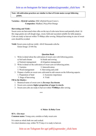 36
Note: All cultivation practices are similar to that of Grain maize except following
points.
Varieties: - Hybrid varieties: HSC-(Hybrid Sweet Corn)-1.
Composites: Madhuri, Priya,Win-Orange
Harvesting and Yield:-
Sweet corns are harvested when silks on the top of cobs turns brown and partially dried. At
this stage grains are soft dough stage, sweet, bold and succulent suitable for table purpose.
Cobs are ready to harvest within 75-80days after sowing. Delayed harvesting in case of sweet
corn should be avoided.
Yield: Sweet corns (cob/ear yield) - 60-65 thousands cobs/ha
Green forage: 25-40 t/ha.
Question Bank
1. Write in detail about the cultivation of sweet corn with following points.
a) Soil and climate b) Seeds and sowing
c) Nutrient management d) Irrigation management
2. Write in detail on the cultivation of sweet corn on following points.
1. Varieties 2. Intercultivation
3. Weed management 4. Harvesting and yield
3. Prepare a leaflet on sweet corn cultivated in rabi season on the following aspects.
1. Preparation of land 2. Economic importance
3. Stage of harvesting 4. Yield
Fill in the blanks:-
1. Botanical name of sweet corn is Zea mays Saccharata
2. Sweet corn contains higher proportion of sugar to starch.
3. Sweet corn cobs are ready to harvest within 75-80days after sowing.
***
4. Maize- ii) Baby Corn
B.N.:- Zea mays
Common name: Young corn, cornlets or baby sweet corn
It is eaten as whole both raw and cooked.
It is short duration crop, within 70-75 days it is ready to harvest.
Join us on Instagram for latest updates@agrounder_click here
Join us on Telegram for agri pdf@agrounder_click here
 