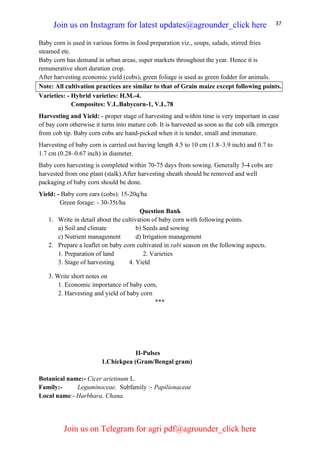 37
Baby corn is used in various forms in food preparation viz., soups, salads, stirred fries
steamed etc.
Baby corn has demand in urban areas, super markets throughout the year. Hence it is
remunerative short duration crop.
After harvesting economic yield (cobs), green foliage is used as green fodder for animals.
Note: All cultivation practices are similar to that of Grain maize except following points.
Varieties: - Hybrid varieties: H.M.-4.
Composites: V.L.Babycorn-1, V.L.78
Harvesting and Yield: - proper stage of harvesting and within time is very important in case
of bay corn otherwise it turns into mature cob. It is harvested as soon as the cob silk emerges
from cob tip. Baby corn cobs are hand-picked when it is tender, small and immature.
Harvesting of baby corn is carried out having length 4.5 to 10 cm (1.8–3.9 inch) and 0.7 to
1.7 cm (0.28–0.67 inch) in diameter.
Baby corn harvesting is completed within 70-75 days from sowing. Generally 3-4 cobs are
harvested from one plant (stalk).After harvesting sheath should be removed and well
packaging of baby corn should be done.
Yield: - Baby corn ears (cobs): 15-20q/ha
Green forage: - 30-35t/ha
Question Bank
1. Write in detail about the cultivation of baby corn with following points.
a) Soil and climate b) Seeds and sowing
c) Nutrient management d) Irrigation management
2. Prepare a leaflet on baby corn cultivated in rabi season on the following aspects.
1. Preparation of land 2. Varieties
3. Stage of harvesting 4. Yield
3. Write short notes on
1. Economic importance of baby corn,
2. Harvesting and yield of baby corn
***
II-Pulses
1.Chickpea (Gram/Bengal gram)
Botanical name:- Cicer arietinum L.
Family:- Leguminoceae. Subfamily :- Papilionaceae
Local name:- Harbhara, Chana.
Join us on Instagram for latest updates@agrounder_click here
Join us on Telegram for agri pdf@agrounder_click here
 